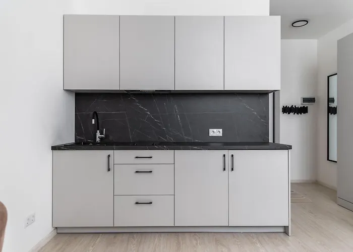 Fox Rock - Self Check In 빌뉴스